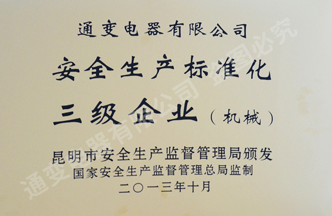 安全生產(chǎn)標準化三級企業(yè)